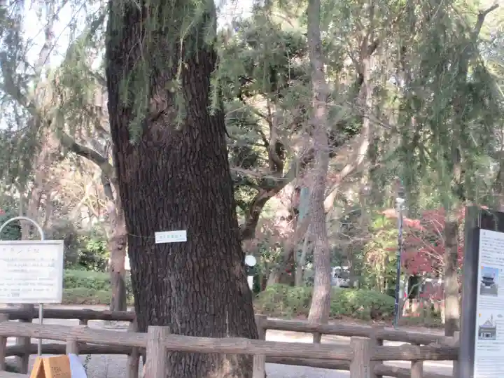 増上寺(東京都)