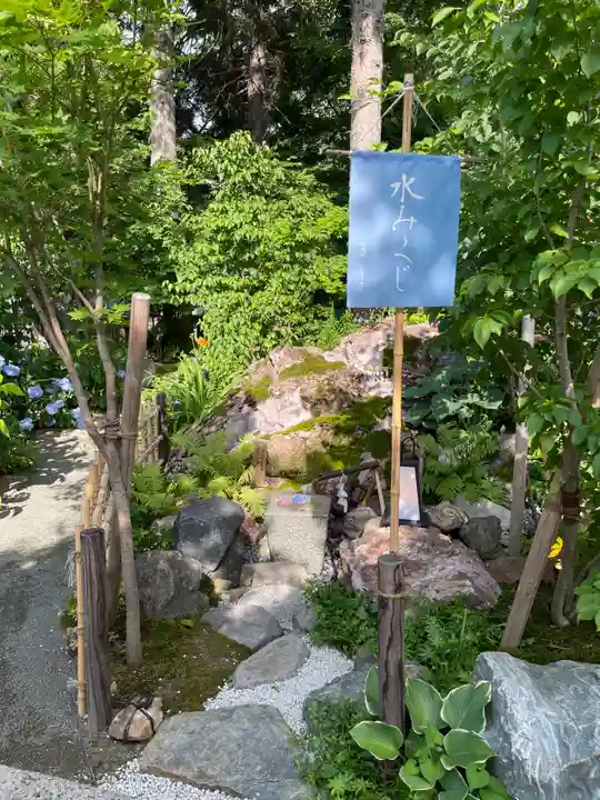 旭川神社のおみくじ