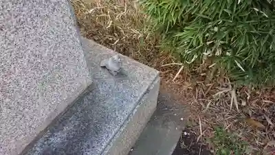 川越八幡宮の狛犬