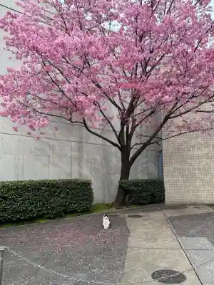 寛永寺(根本中堂)の{uncategorized: "未分類", other: "その他", undefined: "問題あり", building: "その他建物", grave: "お墓", sacred_gate: "鳥居", guardian: "狛犬", statue: "像", buddha: "仏像", history: "歴史", nature: "自然", garden: "庭園", animal: "動物", pagoda: "塔", temizu: "手水舎", mountain_gate: "山門・神門", sanctuary: "本殿・本堂", subordinate: "末社・摂社", art: "芸術", scenery: "景色", jizo: "地蔵", ema: "絵馬", goshuin: "御朱印", omikuji: "おみくじ", items: "授与品その他", amulet: "お守り", goshuincho: "御朱印帳", eats: "食事", festival: "お祭り", votive_dance: "神楽", shichigosan: "七五三参", wedding: "結婚式", experience: "体験その他", initially: "初詣", around: "周辺", anti_infection: "感染症対策"}