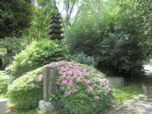 安國論寺（安国論寺）の庭園