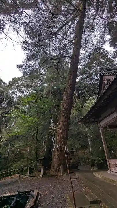 小倉神社(京都府)