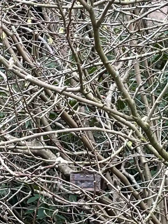 播州清水寺(兵庫県)