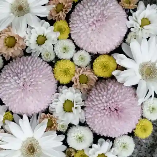 帯廣神社の手水舎