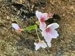 滑川神社 - 仕事と子どもの守り神の自然