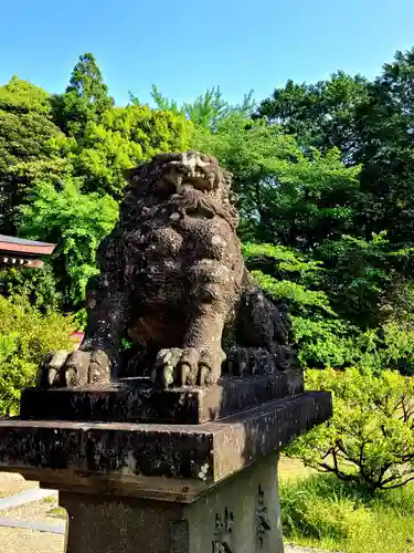 橘神社の狛犬