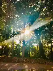 日枝神社の自然