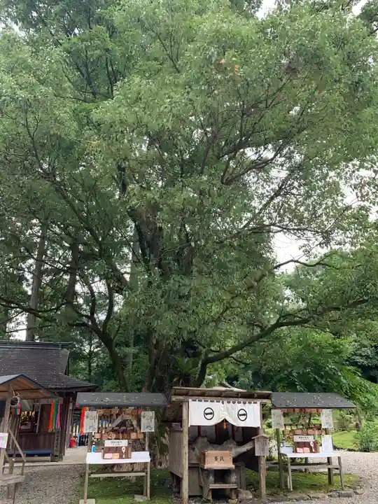 都農神社のその他建物