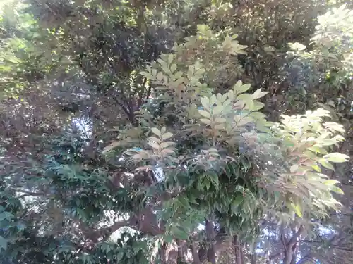 別所白山神社(神奈川県)