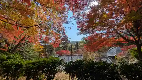 十輪寺(京都府)