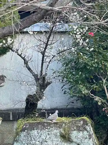 伊勢の国 四天王寺(三重県)