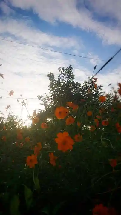 尾張大國霊神社(国府宮)の周辺