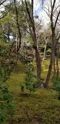 成田山新勝寺(千葉県)