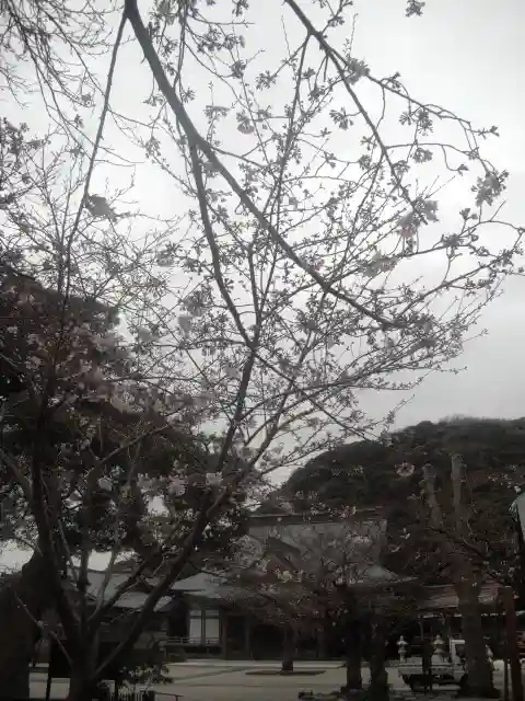 光明寺のその他建物