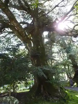 若狭神宮寺(福井県)