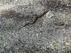 恵那神社(岐阜県)