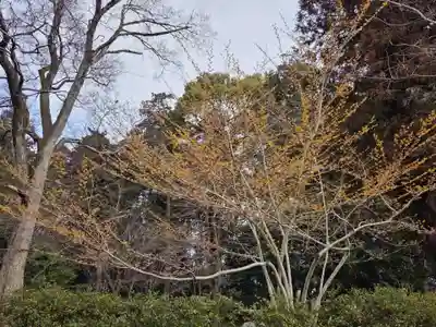 沙沙貴神社(滋賀県)