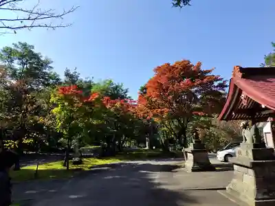 鷹栖神社の末社・摂社
