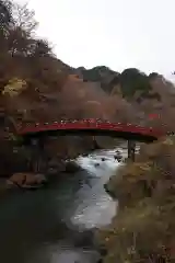 神橋(二荒山神社)の建物その他