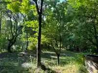 大宮温泉神社(栃木県)