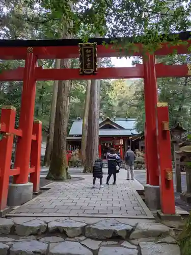 椿大神社の鳥居