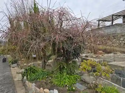 円照寺(兵庫県)