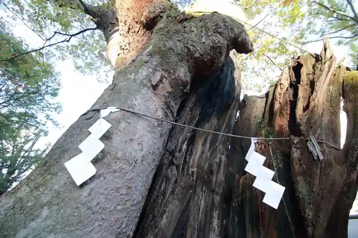 阿邪訶根神社の自然