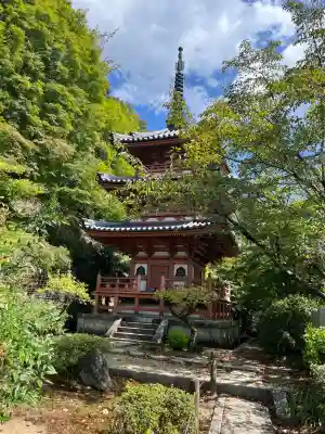 三室戸寺(京都府)