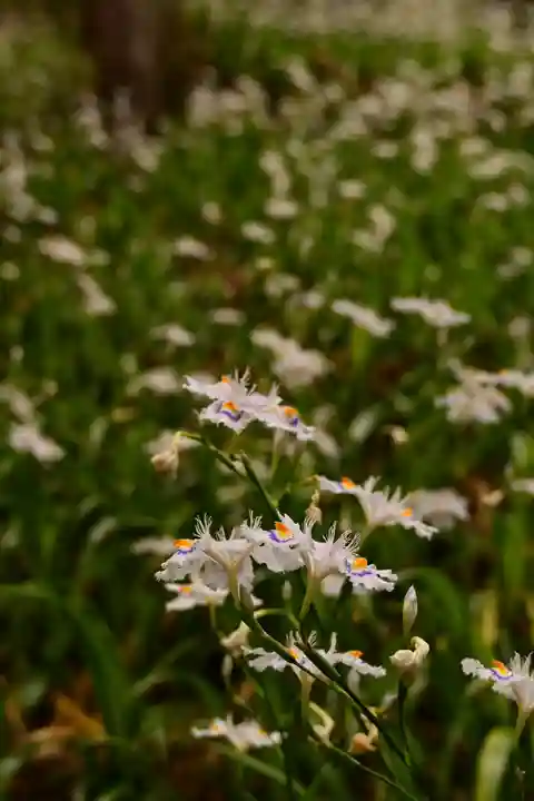 久遠寺(山梨県)
