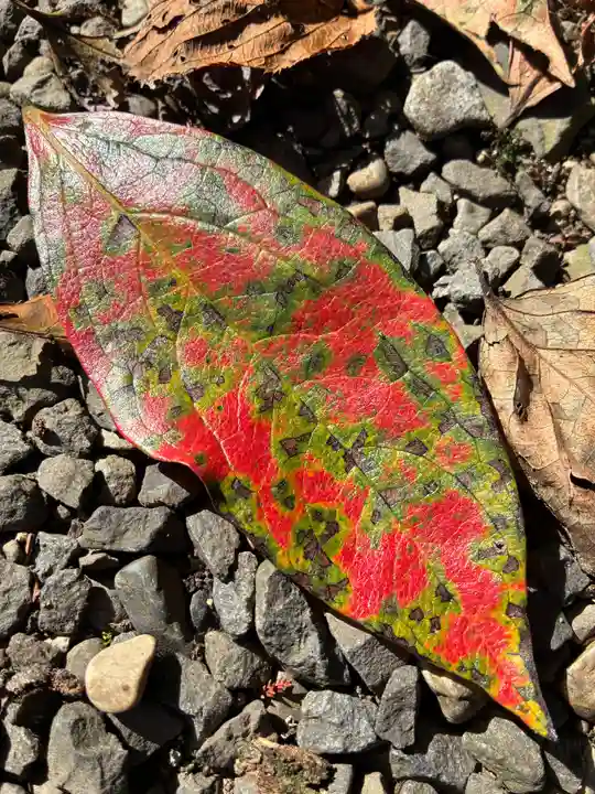 春日神社(栃木県)