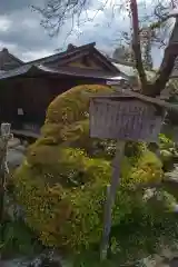 萬勝寺（飯高観音）(岐阜県)