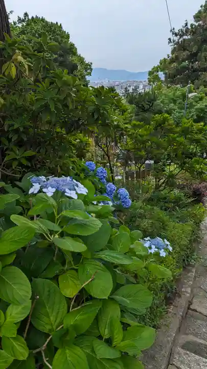 安養寺(京都府)