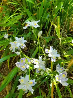 石都々古和気神社(福島県)