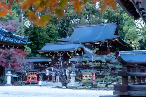 今宮神社(京都府)