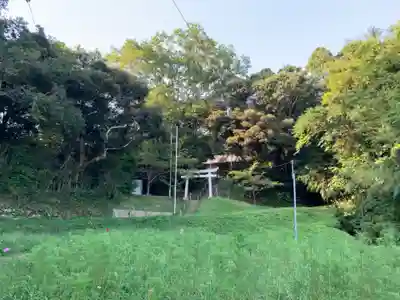 八幡神社の鳥居