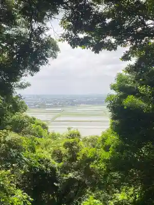 雷神社の{uncategorized: "未分類", other: "その他", undefined: "問題あり", building: "その他建物", grave: "お墓", sacred_gate: "鳥居", guardian: "狛犬", statue: "像", buddha: "仏像", history: "歴史", nature: "自然", garden: "庭園", animal: "動物", pagoda: "塔", temizu: "手水舎", mountain_gate: "山門・神門", sanctuary: "本殿・本堂", subordinate: "末社・摂社", art: "芸術", scenery: "景色", jizo: "地蔵", ema: "絵馬", goshuin: "御朱印", omikuji: "おみくじ", items: "授与品その他", amulet: "お守り", goshuincho: "御朱印帳", eats: "食事", festival: "お祭り", votive_dance: "神楽", shichigosan: "七五三参", wedding: "結婚式", experience: "体験その他", initially: "初詣", around: "周辺", anti_infection: "感染症対策"}