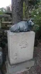 天神神社の狛犬