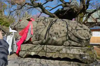 北野天満宮の狛犬