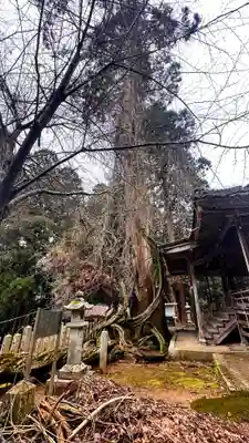 千磐神社(岡山県)