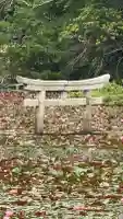 大池寺(滋賀県)