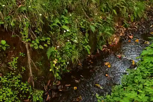 戸隠神社奥社(長野県)