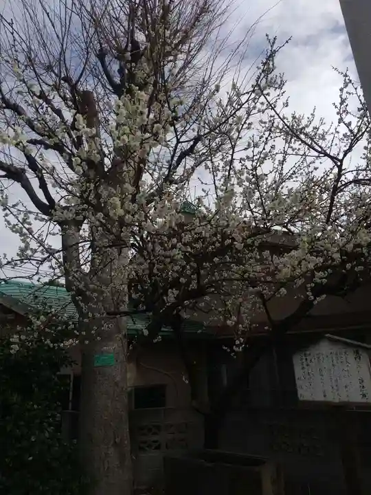 新宿下落合氷川神社(東京都)
