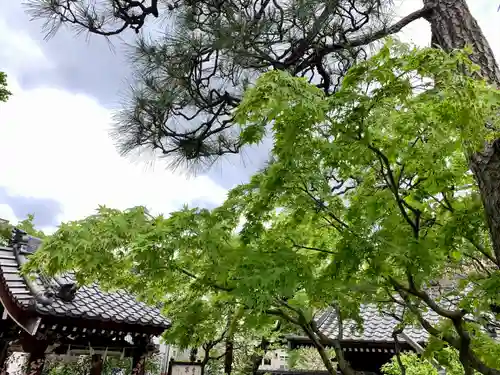 法輪寺のその他建物