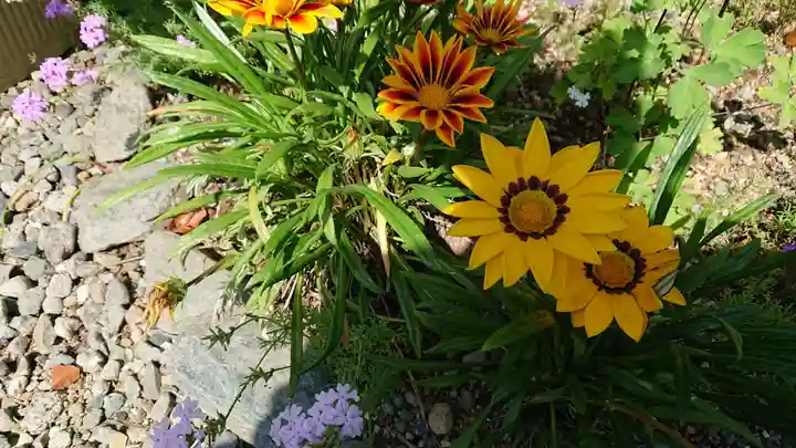 養食山 常泉寺(神奈川県)