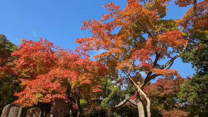 二尊院(京都府)