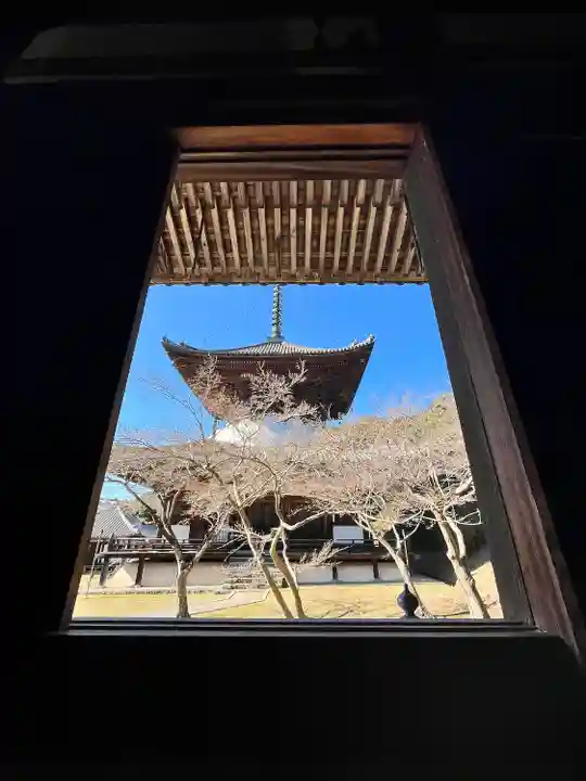 根来寺(和歌山県)