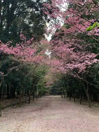 近江神宮の建物その他