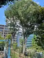 正八幡神社の自然