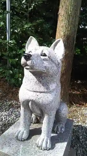 座間神社の狛犬