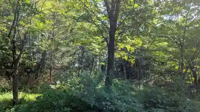 愛別神社の自然